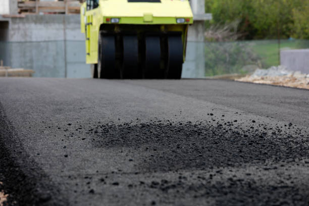 Best Driveway Paving Contractor  in Citrus Park, FL