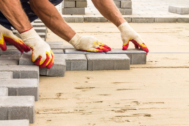 Best Driveway Pavers Near Me  in Citrus Park, FL