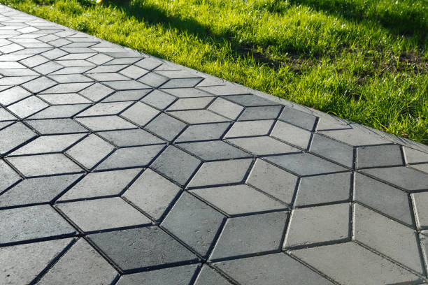 Best Brick Driveway Pavers  in Citrus Park, FL