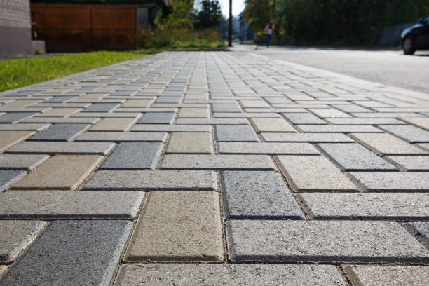 Best Residential Paver Driveway  in Citrus Park, FL