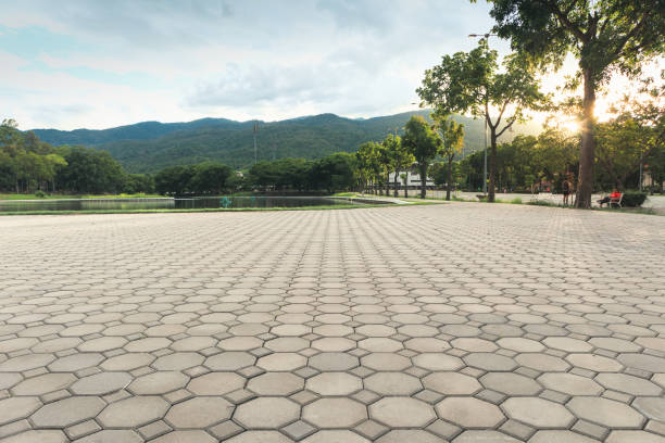 Best Driveway Paving Company  in Citrus Park, FL
