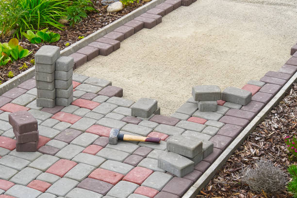 Best Cobblestone Driveway Pavers  in Citrus Park, FL