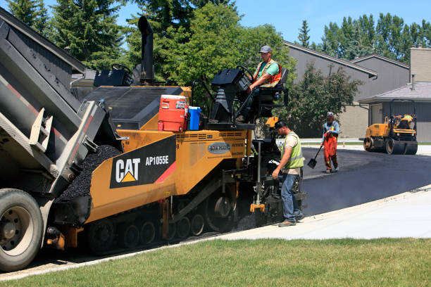 Best Driveway Repair Near Me  in Citrus Park, FL