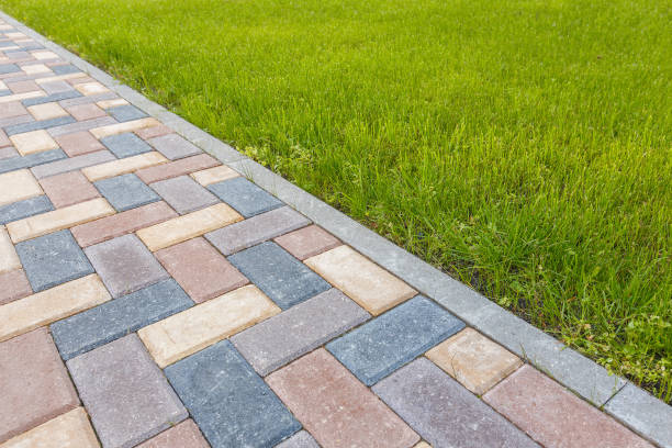 Reasons to Select Us for Your Driveway Paving Requirements in Citrus Park, FL